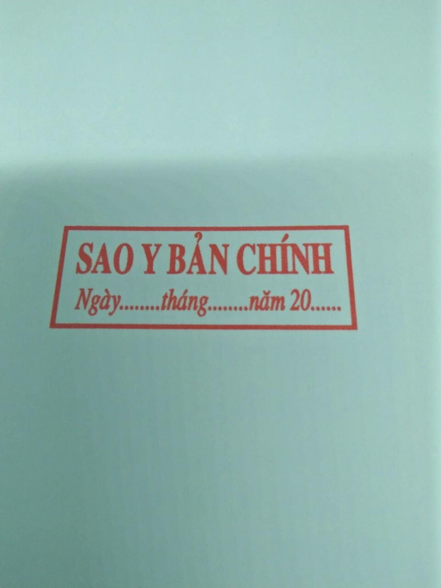 sao-y-ban-chinh