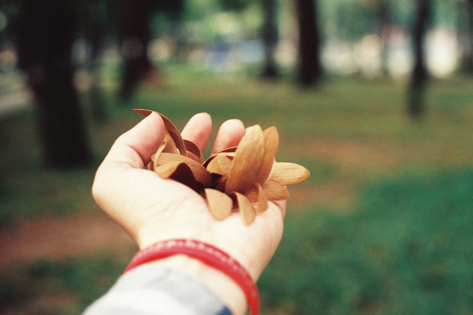 Tìm hiểu về ngôi thứ ba hạn chế trong viết lách