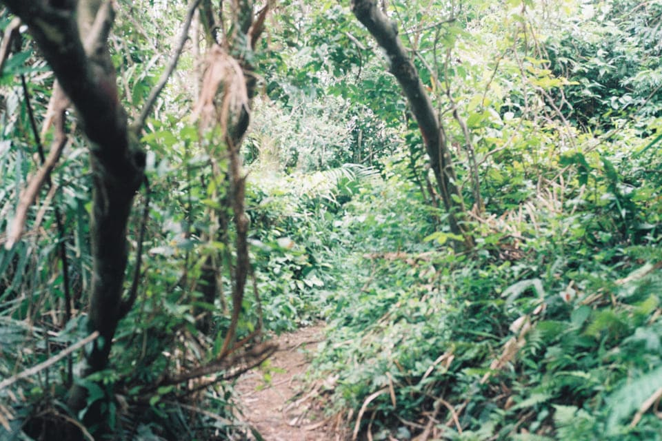 Cẩm nang du lịch Hội An